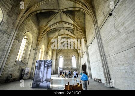 Una guida turistica è a capo di un gruppo di viaggiatori attraverso la parte interna di una chiesa gotica del Palazzo dei Papi di Avignone Francia Foto Stock