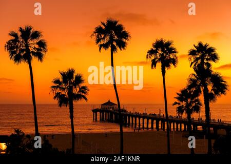 Palme sulla Spiaggia di Manhattan al tramonto, Los Angeles, California Foto Stock