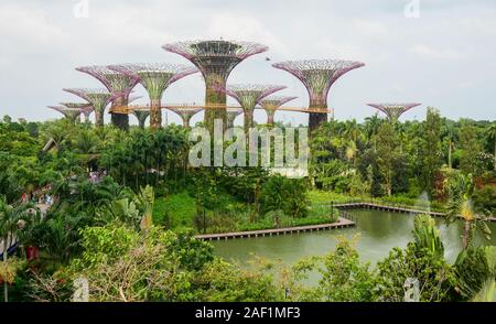 Singapore - Lug 4, 2015. Supertree Grove in Marina Bay, Singapore. Il Supertree Grove si trova all'interno del vasto composto di giardini dall'alloggiamento. Foto Stock
