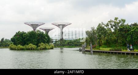 Singapore - Lug 4, 2015. Supertree Grove in Marina Bay, Singapore. Il Supertree Grove si trova all'interno del vasto composto di giardini dall'alloggiamento. Foto Stock