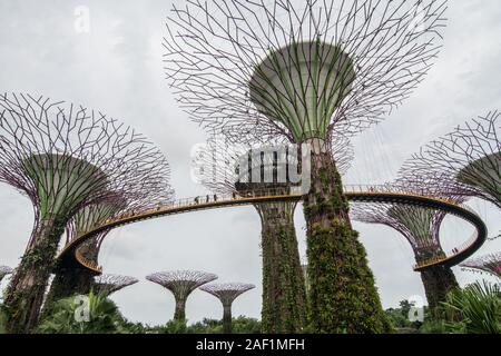 Singapore - Lug 4, 2015. Supertree Grove in Marina Bay, Singapore. Il Supertree Grove si trova all'interno del vasto composto di giardini dall'alloggiamento. Foto Stock