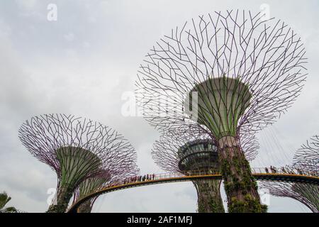 Singapore - Lug 4, 2015. Supertree Grove in Marina Bay, Singapore. Il Supertree Grove si trova all'interno del vasto composto di giardini dall'alloggiamento. Foto Stock