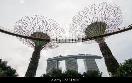 Singapore - Lug 4, 2015. Supertree Grove in Marina Bay, Singapore. Il Supertree Grove si trova all'interno del vasto composto di giardini dall'alloggiamento. Foto Stock
