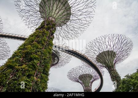 Singapore - Lug 4, 2015. Supertree Grove in Marina Bay, Singapore. Il Supertree Grove si trova all'interno del vasto composto di giardini dall'alloggiamento. Foto Stock