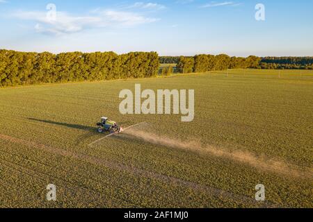 Vista aerea di un trattore agricolo in un campo giallo durante la spruzzatura e per coltivare prodotti alimentari, gli ortaggi e la frutta in estate indiana giornata di sole. Agricoltura Foto Stock