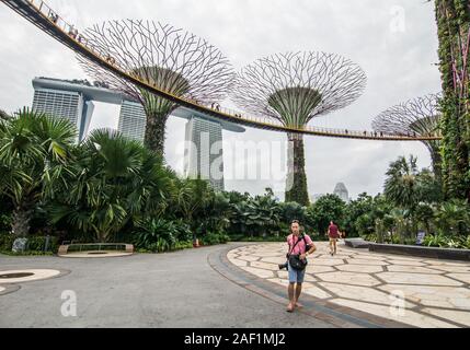 Singapore - Lug 4, 2015. Supertree Grove in Marina Bay, Singapore. Il Supertree Grove si trova all'interno del vasto composto di giardini dall'alloggiamento. Foto Stock