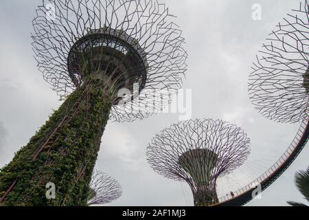 Singapore - Lug 4, 2015. Supertree Grove in Marina Bay, Singapore. Il Supertree Grove si trova all'interno del vasto composto di giardini dall'alloggiamento. Foto Stock