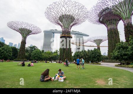 Singapore - Lug 4, 2015. Supertree Grove in Marina Bay, Singapore. Il Supertree Grove si trova all'interno del vasto composto di giardini dall'alloggiamento. Foto Stock
