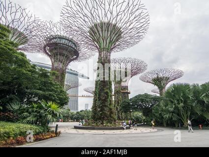 Singapore - Lug 4, 2015. Supertree Grove in Marina Bay, Singapore. Il Supertree Grove si trova all'interno del vasto composto di giardini dall'alloggiamento. Foto Stock