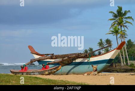 Vista di un cane che giace sulla sabbia e la pesca tradizionale barca a tangalle beach.Sri Lanka Foto Stock