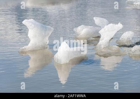 Piccoli iceberg nel ghiacciaio Fjallsarlon lago, Islanda Foto Stock