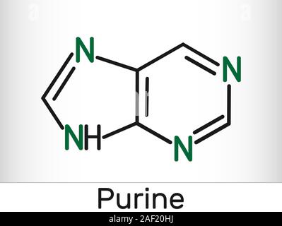 Molecola di purina, è un gruppo aromatico eterociclico composto organico. Scheletro di formula chimica. Illustrazione Foto Stock