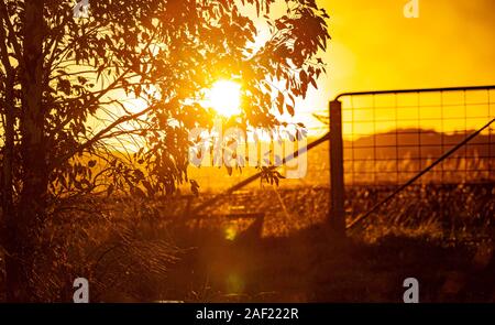 Alba dorata invernale che irrompe attraverso un vecchio cancello di una fattoria in legno, proiettando lunghe ombre sul terreno ghiacciato. Scena tranquilla di una mattina rurale. Foto Stock