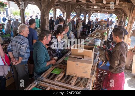 Buchy (Normandia, Francia settentrionale): il mercato coperto. Tradizionale mercato normanno che riunisce i prodotti agricoli locali e gli animali della fattoria. La coperta Foto Stock