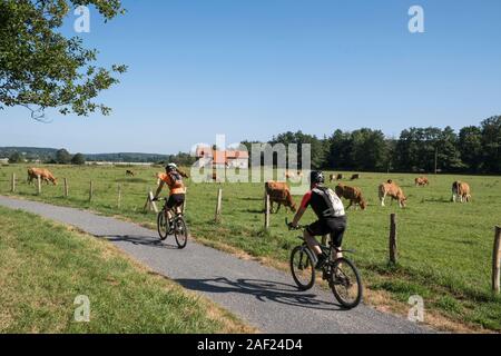 I ciclisti su una lunga distanza percorso in bicicletta in Pont-l'Eveque (Normandia, a nord-ovest della Francia) Foto Stock