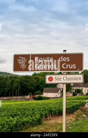 Strada del Vino Grand Crus segno nei pressi di un vigneto di Cluny, Borgogna, Francia Foto Stock