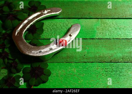 La foto mostra un ferro di cavallo con una coccinella e Lucky Clover su schede di verde Foto Stock