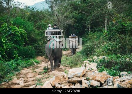 Gruppo turistico passeggiate attraverso la giungla sul dorso di elefanti. Foto Stock