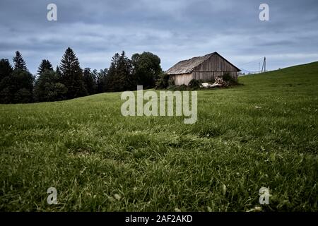 In legno antico fienile marrone nel prato erboso con alberi sotto un drammatico cielo blu e nuvole Foto Stock