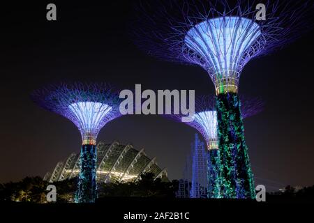 Supertrees presso i giardini dalla Baia di Singapore Foto Stock