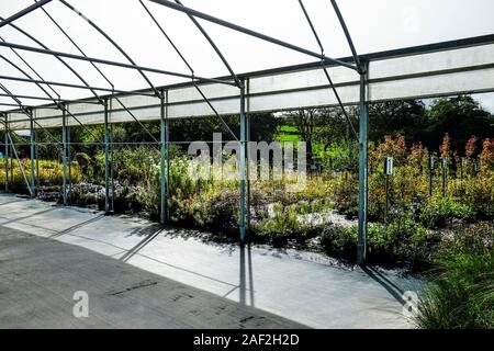 Un polytunnel vuota in un centro giardino vivaio. Foto Stock