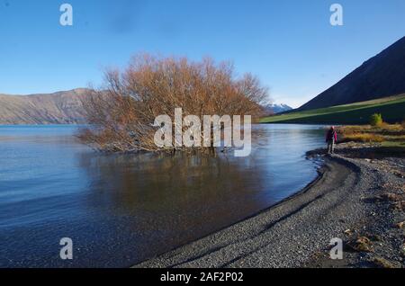 Te Araroa Trail. Isola del Sud. Nuova Zelanda Foto Stock