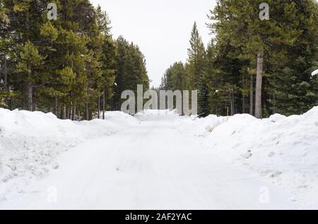 Snowy deserta strada forestale in montagna su un nevicava giorno d'inverno. Treacherous condizioni di guida. Foto Stock