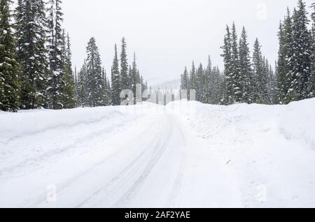 Strada di montagna coperti di neve fesh attraverso una foresta durante una bufera di neve. Concetto di pericolose condizioni di guida. Foto Stock