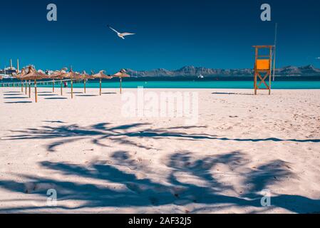 Bellissima vacanza estiva foto. Seagull sorvolare la soleggiata spiaggia di sabbia in estate vacation resort. Foto Stock