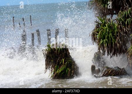 Grandi onde schiacciamento sulla riva di un'isola tropicale alberi durante una tempesta. Mare tempestoso meteo. Potenza nella natura dello sfondo. Presa prima grave ciclone ha colpito Foto Stock