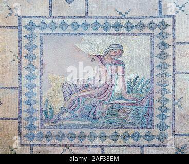 Cipro, Pafos sito archeologico la casa di Dionysos Mosaico Foto Stock