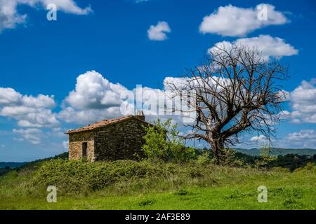 Gli agricoltori solitario casa con una solitudine albero morto sulla cima di una collina, paesaggio boscoso a distanza Foto Stock