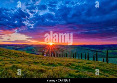 Un avvolgimento di ghiaia, fiancheggiata da viali di cipressi che conduce al Agriturismo Baccoleno al tramonto Foto Stock