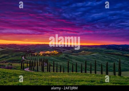 Un avvolgimento di ghiaia, fiancheggiata da viali di cipressi che conduce al Agriturismo Baccoleno dopo il tramonto con nuvole rosso Foto Stock