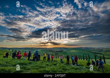 Decine di fotografi di scattare le foto di una tortuosa strada di ghiaia, fiancheggiata da viali di cipressi che conduce al Agriturismo Baccoleno al tramonto Foto Stock