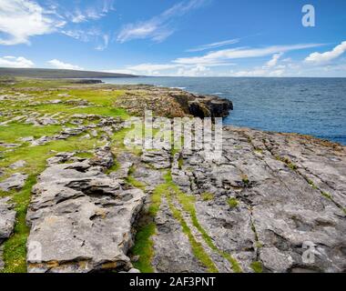 Bella vista delle scogliere di Moher (Aillte un Mhothair), il bordo del Burren regione nella contea di Clare, Irlanda. Foto Stock