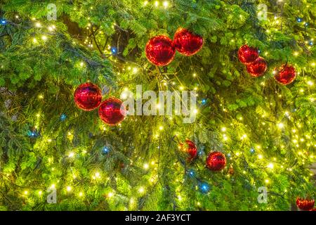 Le luci di Natale tema su albero di Natale: Buon Natale! Buon Natale! Joyeux Noël ! Foto Stock