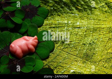La foto mostra un maiale di marzapane su Lucky Clover Foto Stock