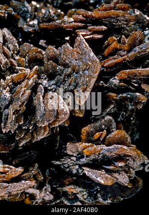 Descloizite cristalli, formata naturalmente, piombo, zinco, rame Foto Stock