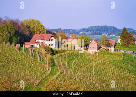 Villaggio sloveno a forma di cuore la strada del vino tra i vigneti Foto Stock