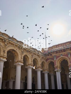 Gli uccelli che volano sopra le arcate del Thirumalai Nayakkar Mahal Foto Stock