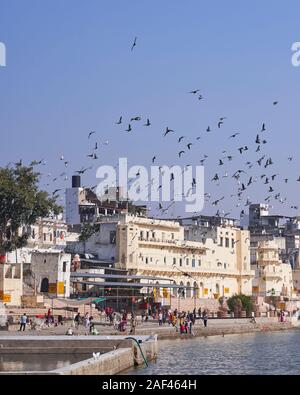 La gente del posto e i bagnanti al lago Pushkar con sovraccarico di uccelli Foto Stock