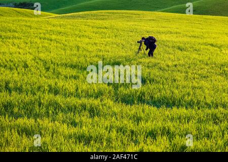 Un fotografo, stando in piedi in un campo verde in Val d'Orcia, scattare una foto del tipico del territorio collinare della campagna toscana Foto Stock