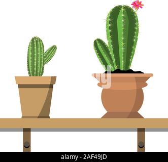 2 vasi di piante di cactus in coloratissime fioriere contro il muro bianco. Impianti di casa sul ripiano woden isolato su bianco. Puntelli per interni, offic Illustrazione Vettoriale