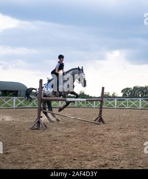 Super slow motion di una donna jockey salta sopra gli ostacoli su un cavallo. Foto Stock