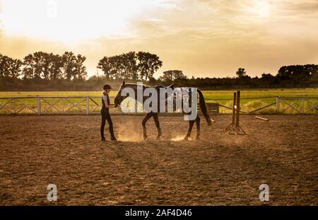 Bella ragazza jockey è in piedi vicino a un cavallo baciando e abbracciando il suo Foto Stock