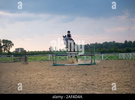 Super slow motion di una donna jockey salta sopra gli ostacoli su un cavallo. Foto Stock