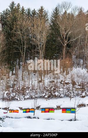 Inverno, scenario innevato con colorati alveari coperti di neve, collocato sulla collina. Coperta di neve alberi e montagne sullo sfondo. Foto Stock