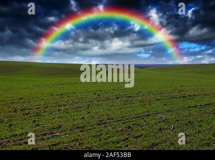 Rainbow nel campo. pittoresco cielo sopra un campo collinare. dopo un temporale Foto Stock