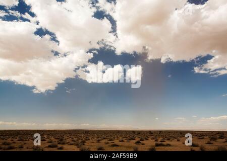 Una tempesta di polvere nel deserto di Mojave in California, Stati Uniti d'America. Foto Stock